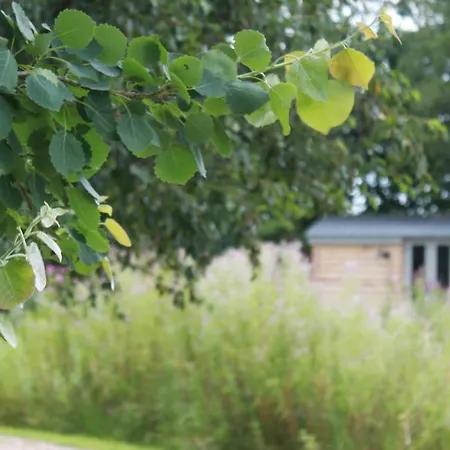 Luxury Shepherds Hut - The Sweet Pea By The