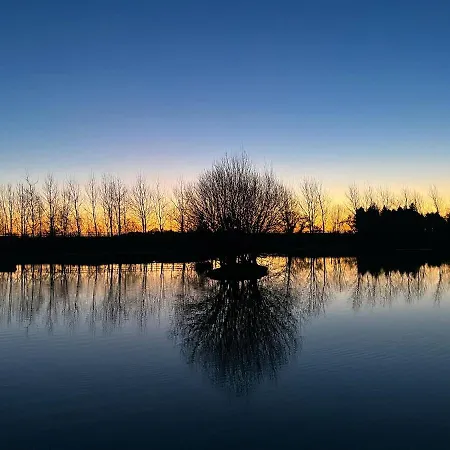 Luxury Shepherds Hut - The Sweet Pea By The مكان تخييم يورك