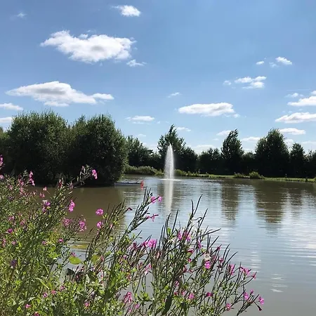 مكان تخييم Luxury Shepherds Hut - The Sweet Pea By The يورك